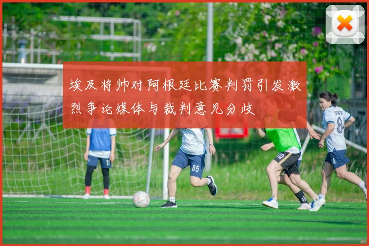 埃及将帅对阿根廷比赛判罚引发激烈争论媒体与裁判意见分歧