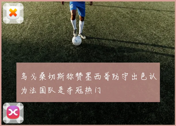 乌戈桑切斯称赞墨西哥防守出色认为法国队是夺冠热门
